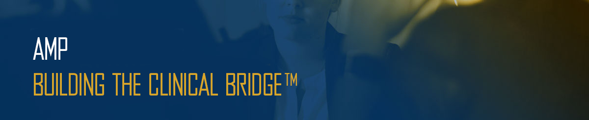 Consulting For The Clinical Bridge