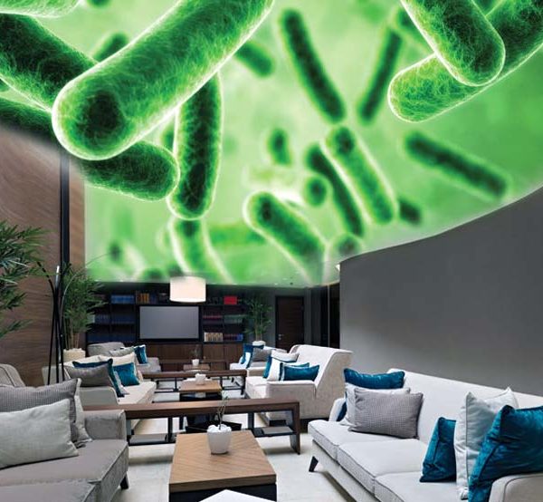 The Impact Of Emerging And Re-Emerging Infectious Diseases In The Built Environment