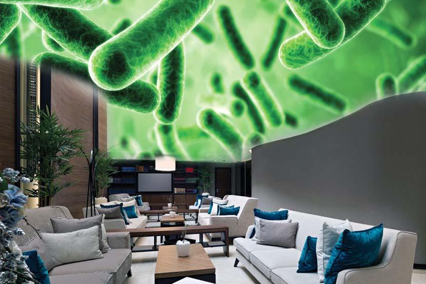 The Impact Of Emerging And Re-Emerging Infectious Diseases In The Built Environment
